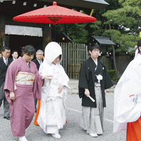 先得限定プラン